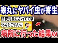【2ch面白いスレ】ワイのアレについてる虫、病院で診てもらった【ゆっくり解説】