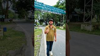 kaziranga safari booking 2026-27 | Local Guide | Elephant safari Booking
