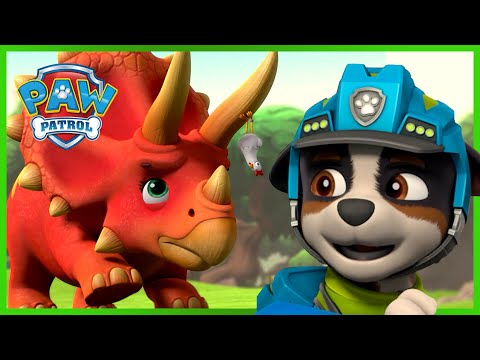 PAW PATROL