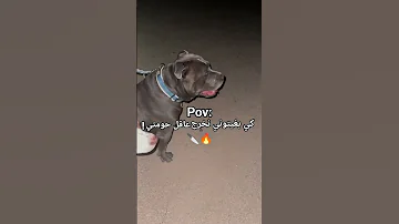 كي بغيتوني نخرج عاقل حومتي 
