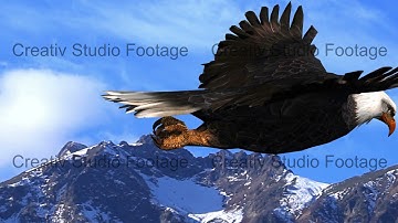 Bald Eagle Flies Against the Background of Mountains and Sky Animation