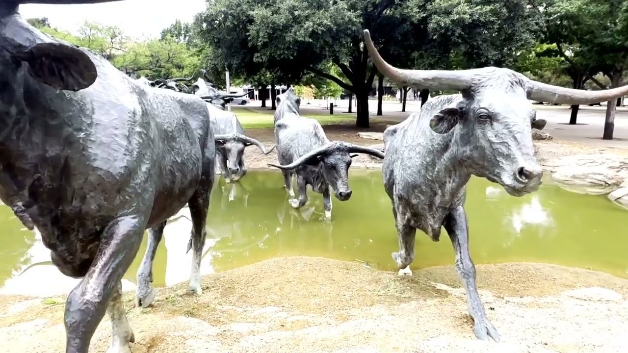 Những điểm nên đến khi du lịch ở Dallas/Famous tourist sites must visit in Dallas