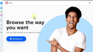 How to install the portable version of Opera browser screenshot 5