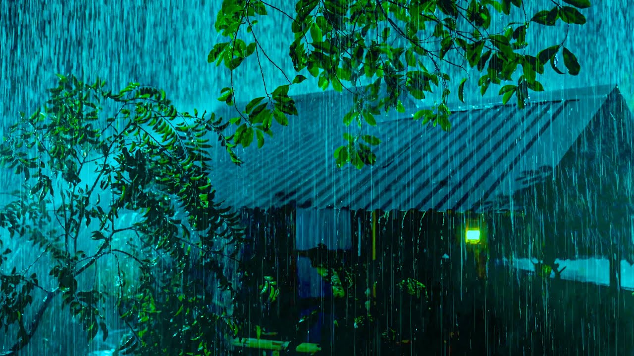 All You Need to Fall Asleep Instantly 🌧️ Heavy Rain and Wild Thunder Sounds on a Creaky Tin Roof