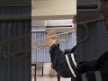 HANA / Tiger -1st FANMEETING LivePerformance-#trumpet #fyp #hana #honeys #🎺
