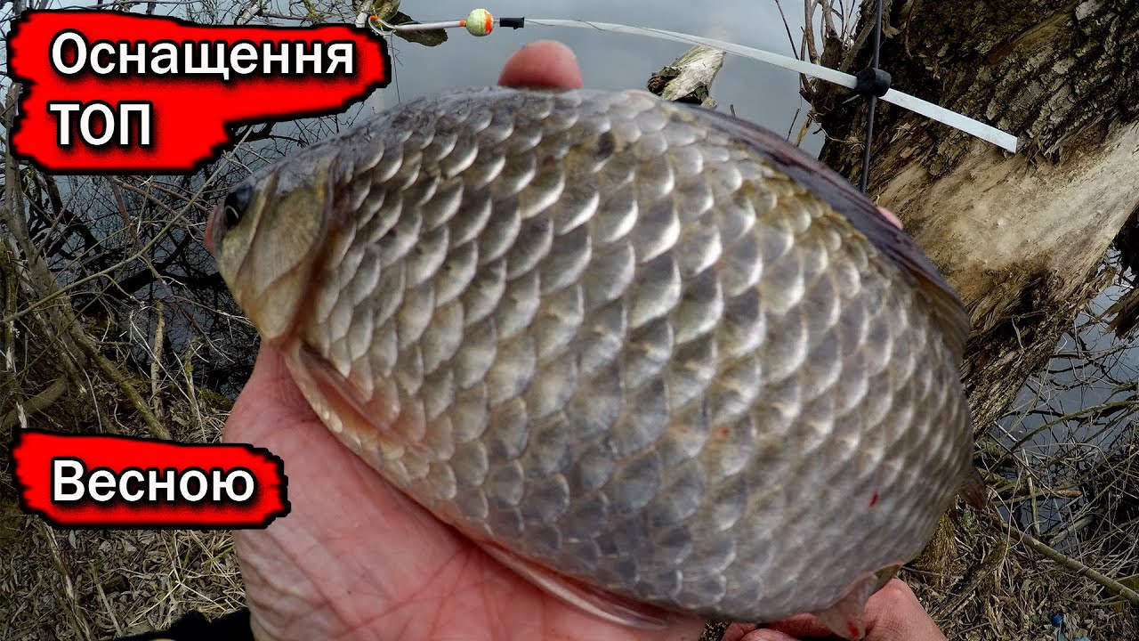 Риболовля на бічний кивок і весняна мормишка