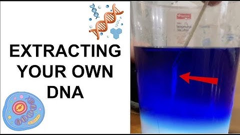 Extract Your Own DNA at Home with Household Items