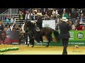 03 MADRILEÑA AGROEXPO 2019 FINAL Y PECHERA