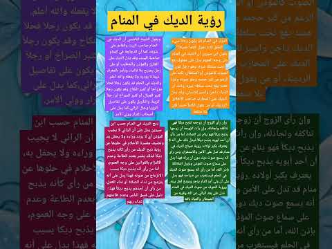 رؤية الديك في المنام لإبن سيرين   تفسير الأحلام حالات واتساب دعاء ستوريات تفسير
