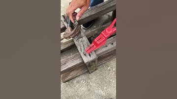 No more worrying about getting your hands dirty when hammering nails!#shortsfeed