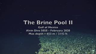 Brine Pool II - 5058