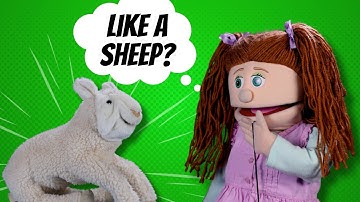 The Lord is My Shepherd! | Psalm 23 Sunday School Lesson for Kids