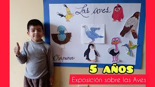 Exposición Sobre Las Aves - Inicial De 5 Años
