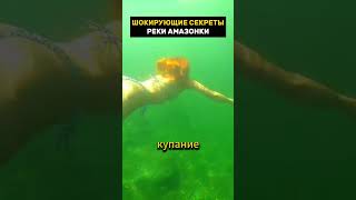 Тайны амазонки которые скрывают #амазонка #страх #рек #рекомендации