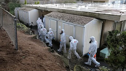 Retrospective: COVID declared pandemic 2 years ago Friday