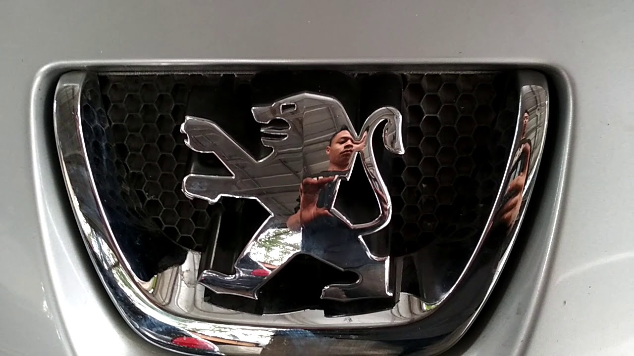 Peugeot 207 Trauble Code Power Stering Fault YouTube peugeot-207-trauble-code-power-stering-fault-youtube