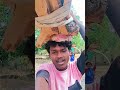 sahan dipil who you Kanha boyha# trending# Santhali #videos