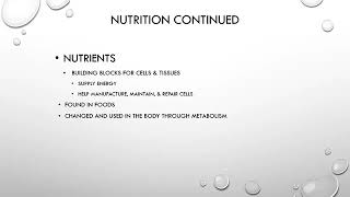 Nutrition | Nursing Fundamentals (Lecture for Nursing Students)