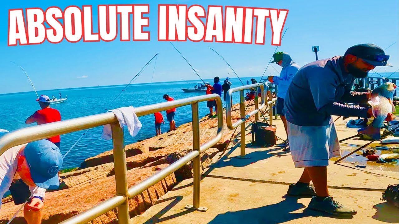 INSANE Fall Fishing JETTY ACTION Corpus Christi, Texas YouTube