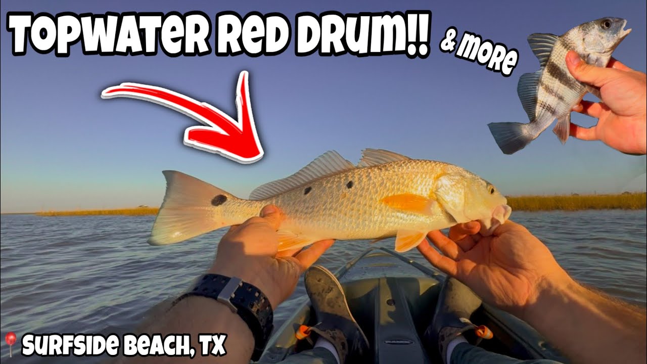 Ловля хвостатого окуня на TOPWATER!! (забег кефали) | Серфсайд-Бич, Техас