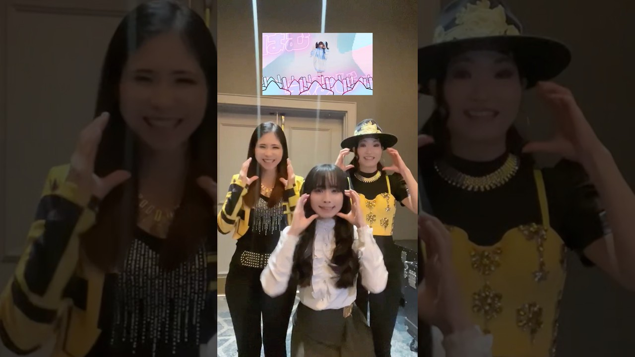 spreading energy with bless4! | #bless4 #hamucotton