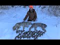 Tales of a trapline ep4  lynx  coyote success