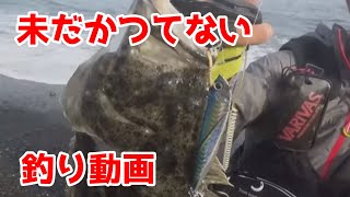 中毒性のある釣り動画。ツッコミどころ満載!!【飛び過ぎダニエル】