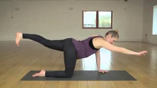 Four Point Kneeling Alternate Arm and Leg Extension Exercise