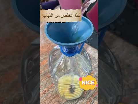 طريقة التخلص من الذباب بسهوله       
