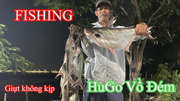 Fishing | Câu Vồ Đém cá ăn giựt không kịp lên HUGo | Săn Bắt Mái Dầm