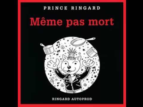 Prince Ringard - Délit de faciès