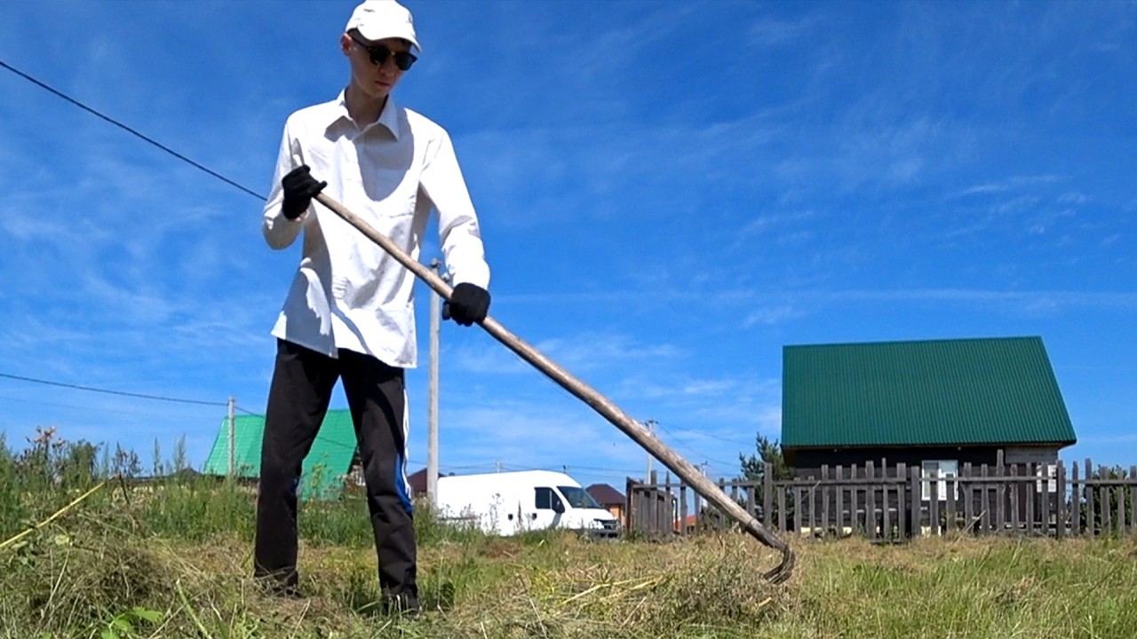 Расчистка участка от зарослей - YouTube