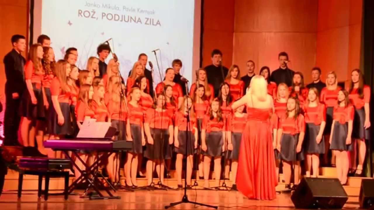 Mešani mladinski pevski zbor Šolskega centra Celje - Rož, Podjuna, Zila (Pavle Kernjak)