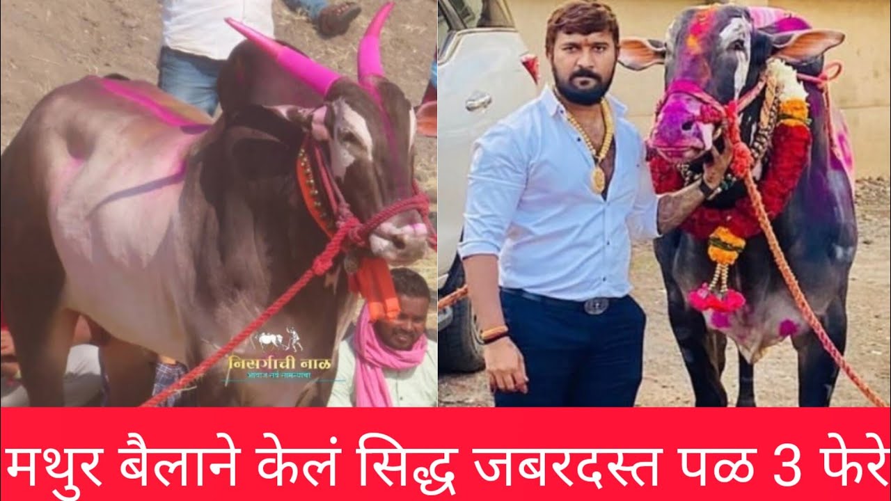 मधुर आणि तेजा राहुल भाई पाटील यांची मुलाखत सातेवाडी मैदान मानकरी