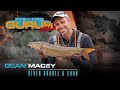 Fishing Gurus Volume 2: River Barbel And Chub | Dean Macey (2021)