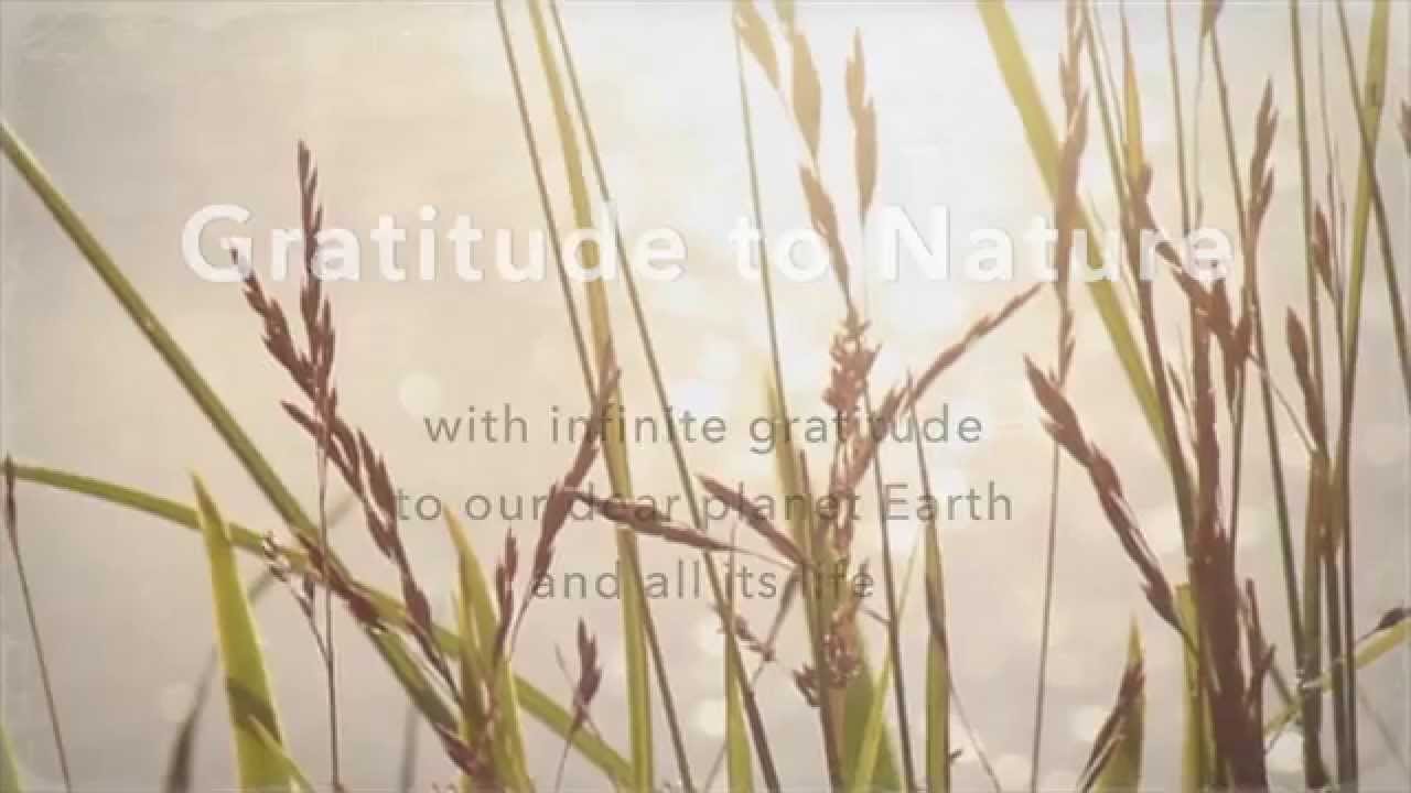 Gratitude to Nature - YouTube