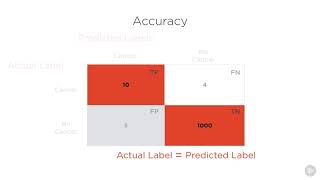 Celebrity 0308 The Confusion Matrix Accuracy, Precision, Recall, F1 Score Net Worth