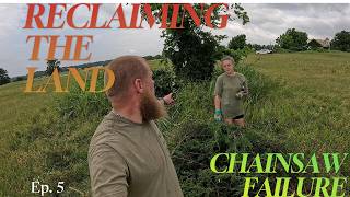 CEDAR TREES HAD TO GO |Homestead Cleanup Day!