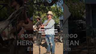 Gran Estreno Rosita Camargo #hernancompean #músicanorteña #musica #corridos #fronterachiquita