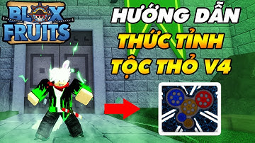 Hướng Dẫn Thức Tỉnh Tộc Thỏ V4 Siêu Khó || Blox Fruits!