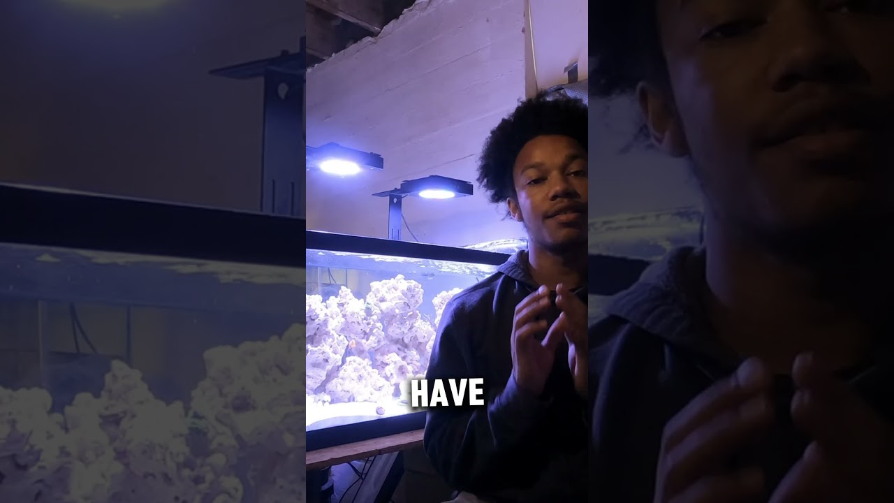 Useless animal facts part 2