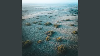 Scatter Wide