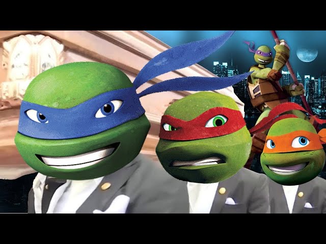 Teenage Mutant Ninja Turtles - Coffin Dance Song (COVER)