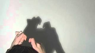 Hand Shadows : Bird feeding