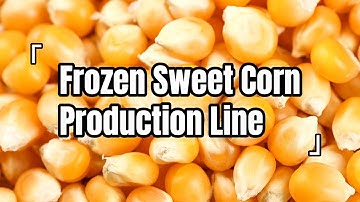 Automatic IQF Frozen Corn Production Line | From Corn Cob to Golden Kernels