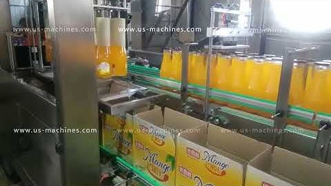 Dropping type juicy glass bottle cartoning machine encasing line packing line