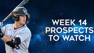 Prospects To Watch Week 14 Fantasy Baseball