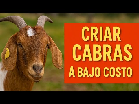 Cómo Alimentar y Criar Cabras a Bajo Costo | Guía Práctica 🐐