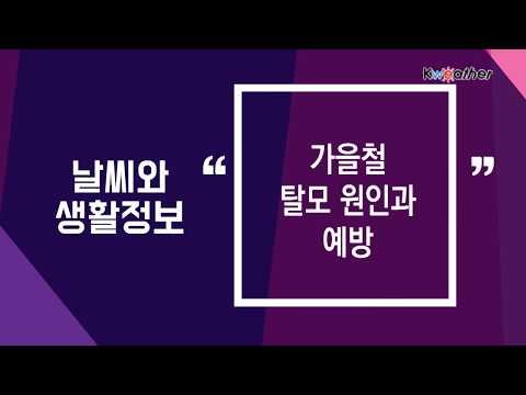[날씨] 10월 8일_가을철 탈모 원인과 예방!
