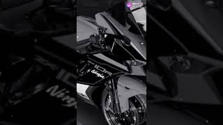 Ninja Zx10R